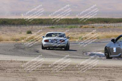 media/Oct-04-2025-OnGrid (Sat) [[44bd565ffa]]/Yellow Group/Grapevine/